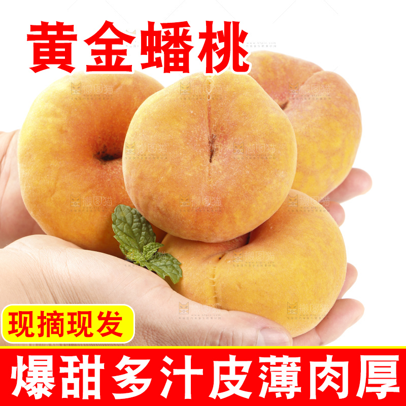 白底上手捧黄金蟠桃