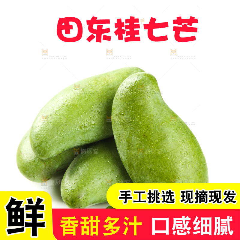 白底上的桂七芒