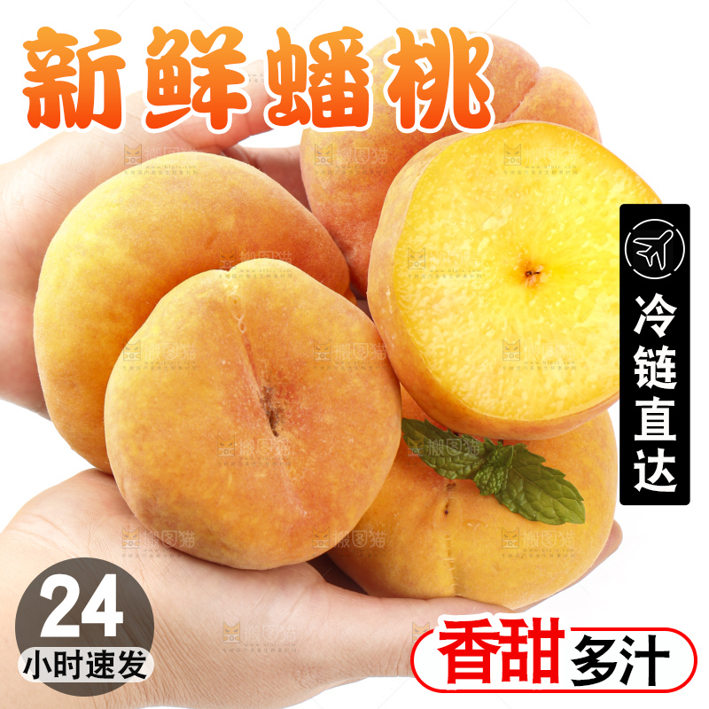 白底上手捧黄金蟠桃