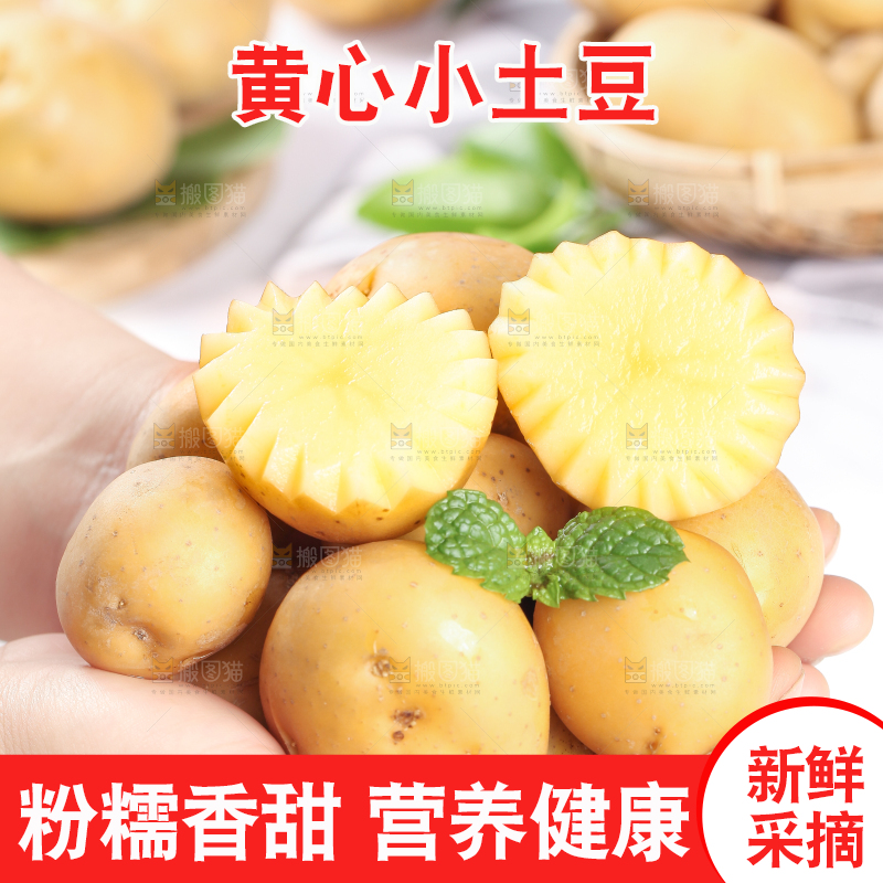 手拿云南小土豆