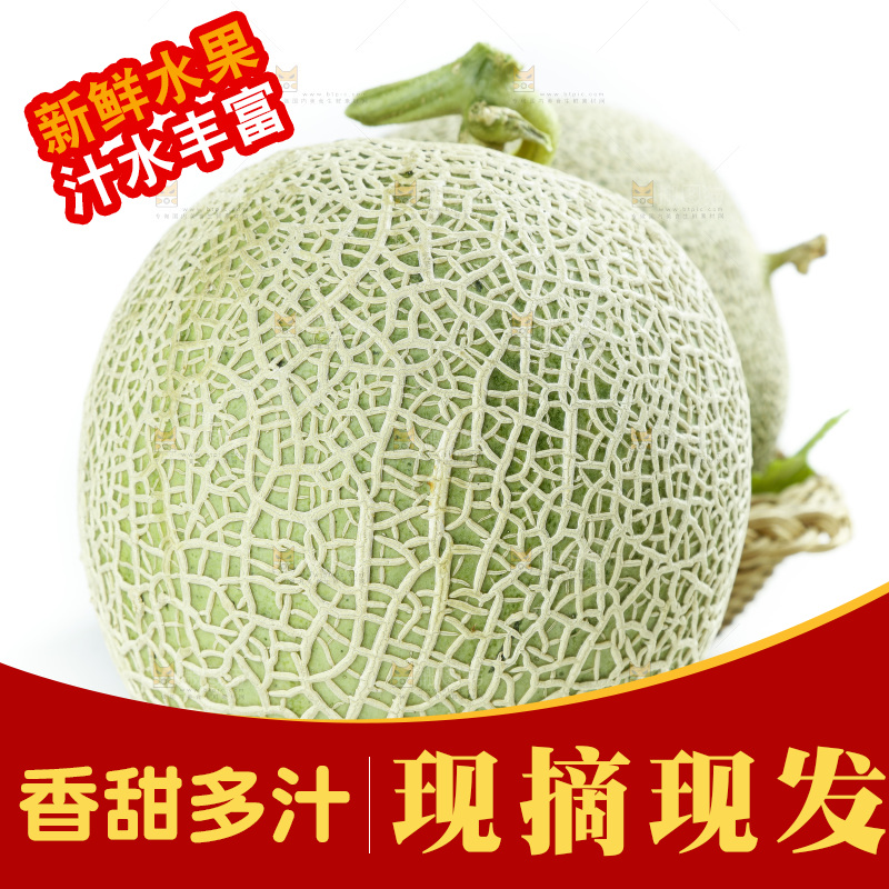 白底上的玫珑瓜