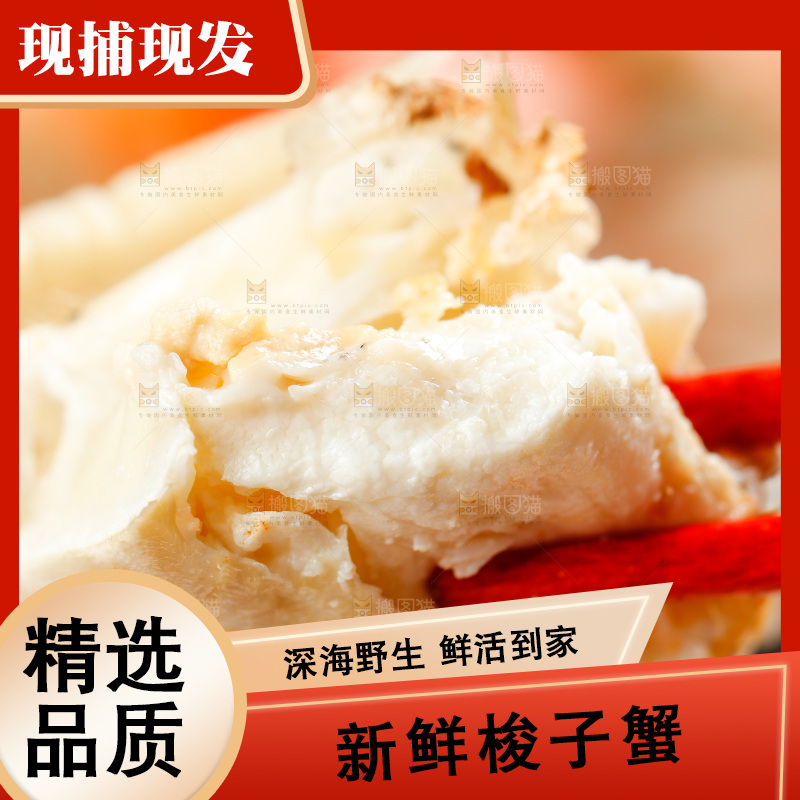 筷子夹着梭子蟹肉