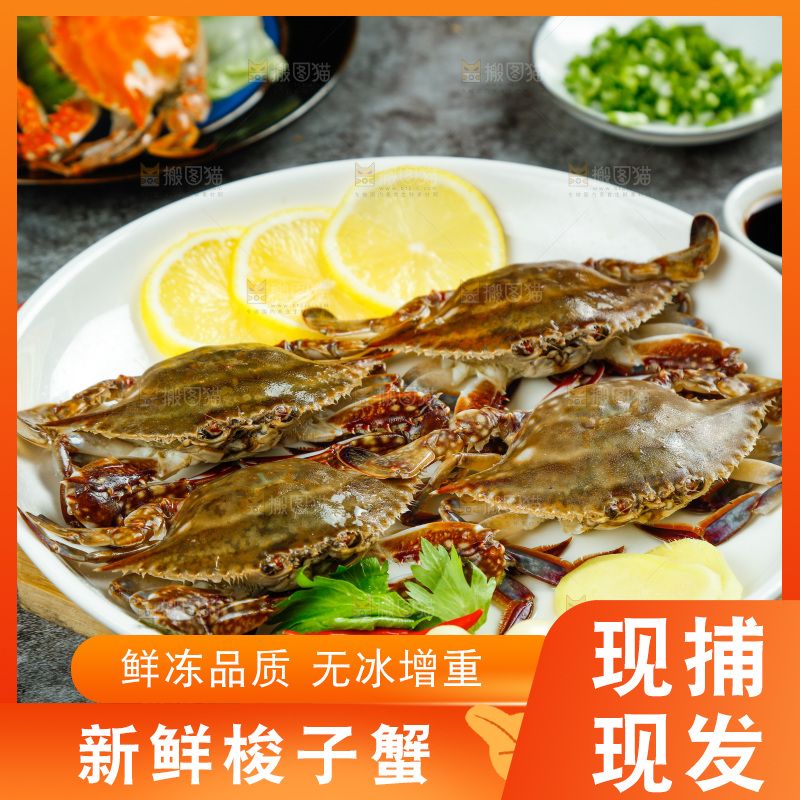 石板上放着一盘梭子蟹