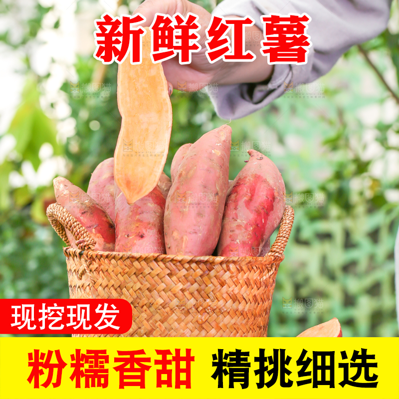 草地上手里拿着红薯