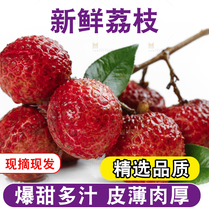 白底上的荔枝