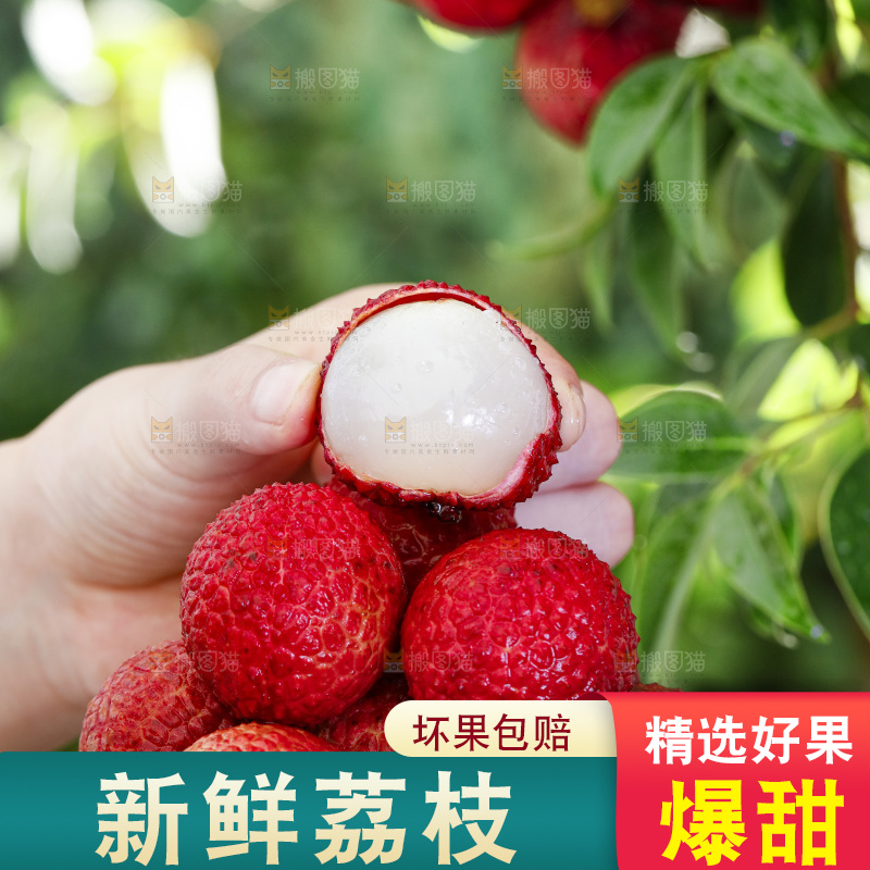 手端一盘荔枝