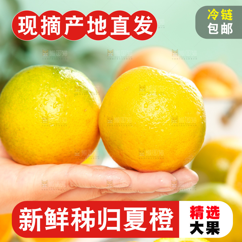 手拿秭归夏橙
