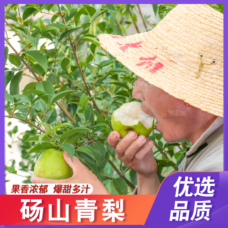 农民手里拿着青皮皇冠梨