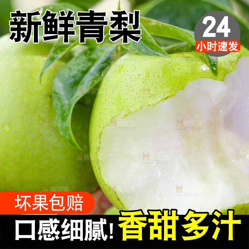 手拿砀山青皮翠冠梨