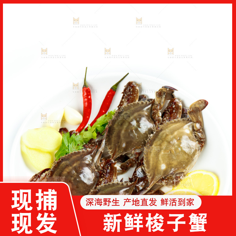 白底上放着一盘梭子蟹