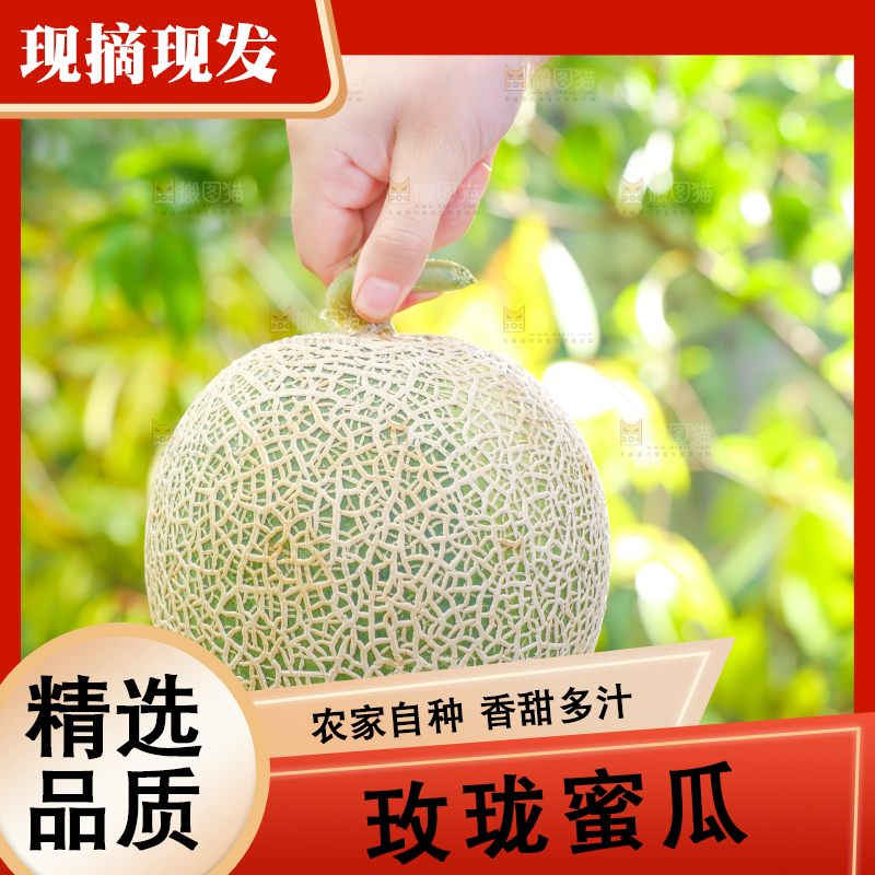 手拿玫珑瓜