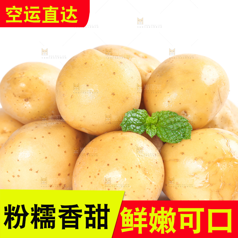 白底上的小土豆
