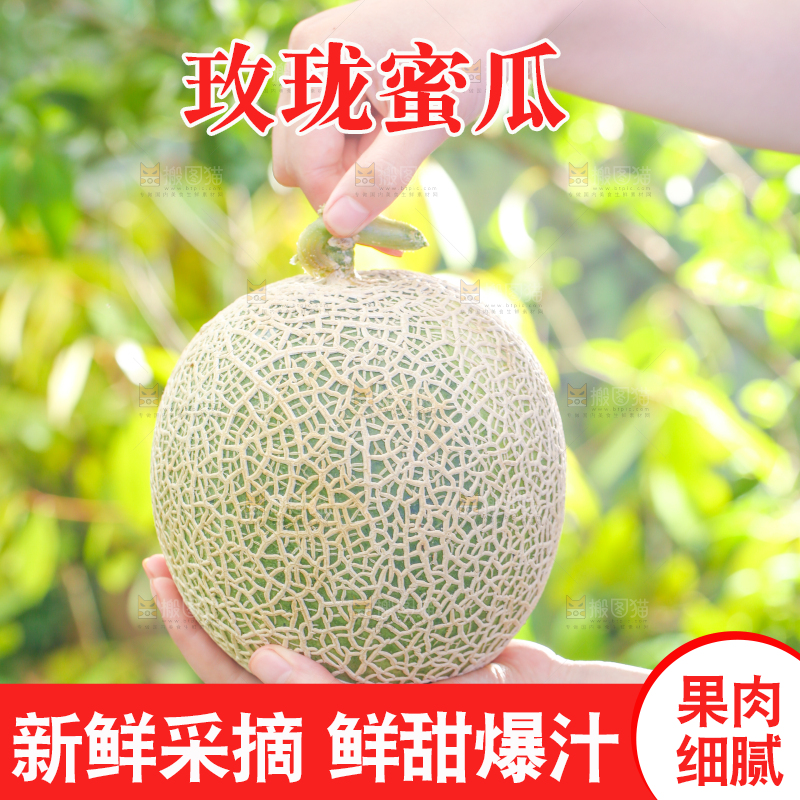 手拿玫珑瓜
