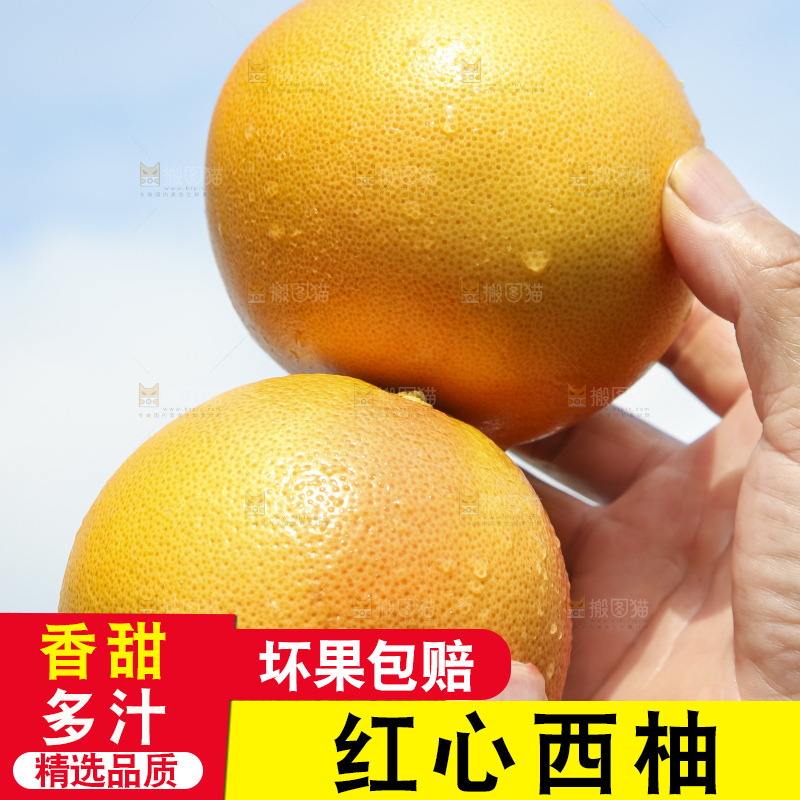 手拿着南非红心葡萄柚