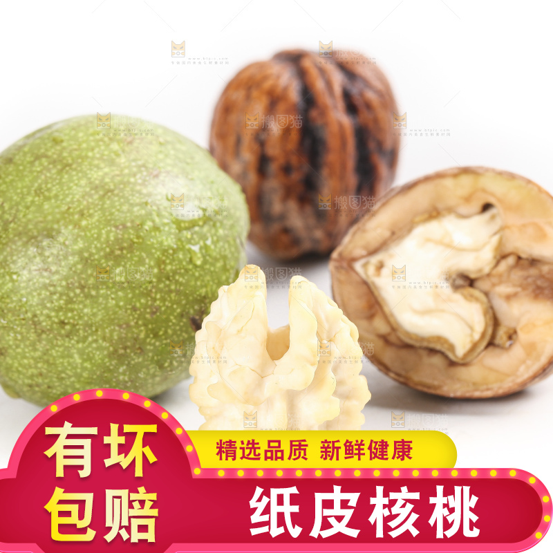白底上的新鲜湿核桃