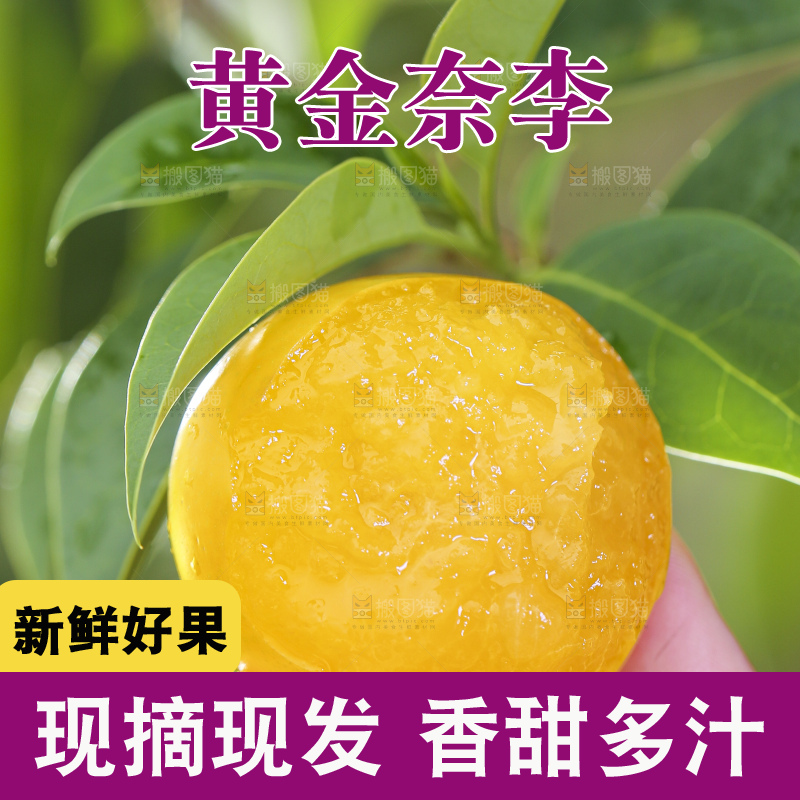 手拿剥皮的九峰山黄金奈李