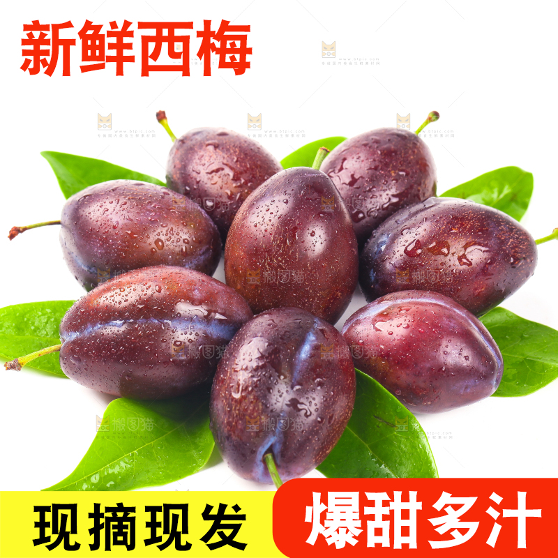 树叶上的西梅