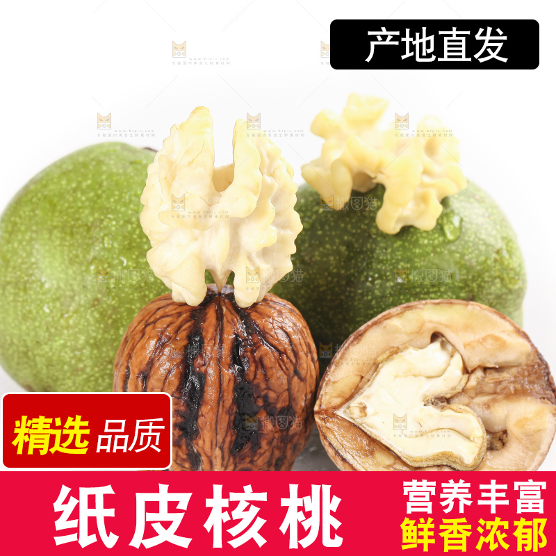 白底上的新鲜湿核桃