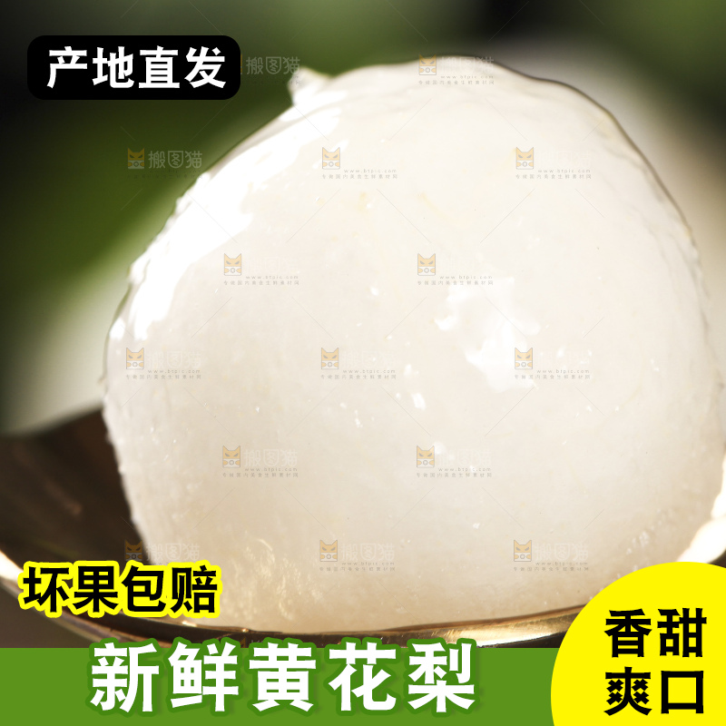 勺子里的黄花梨果肉