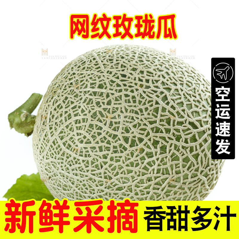 白底上的玫珑瓜