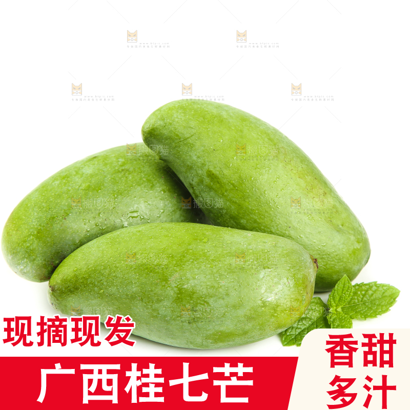 白底上的桂七芒