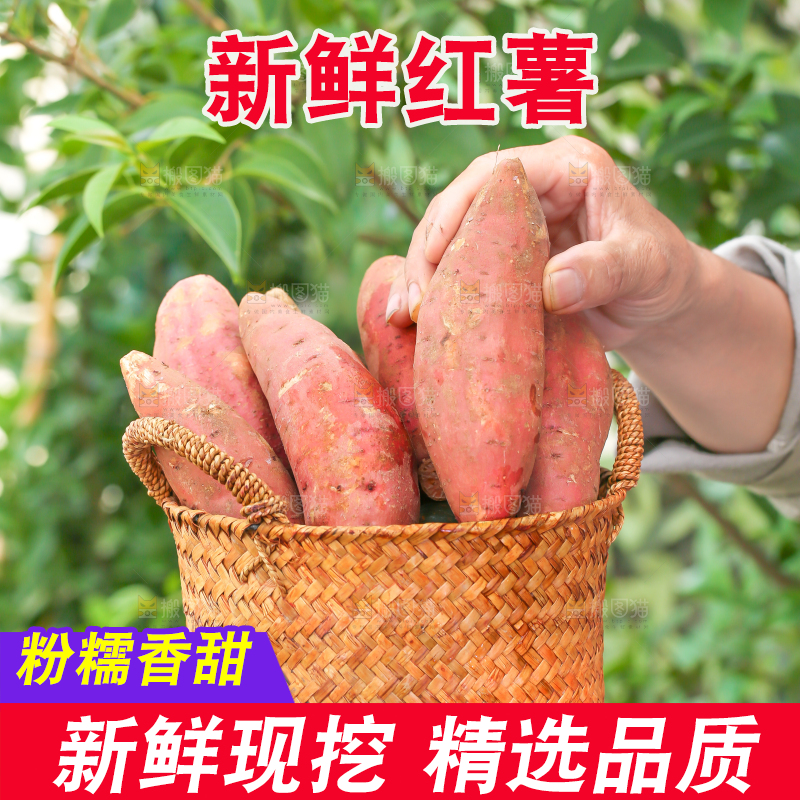 手里端着一筐红心红薯
