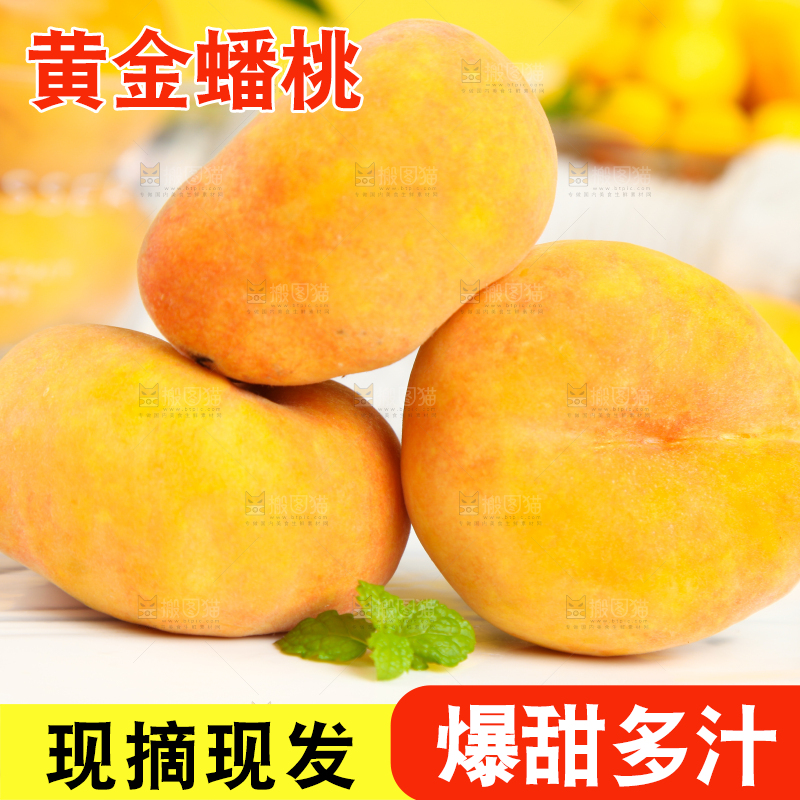 石板上的黄金扁桃