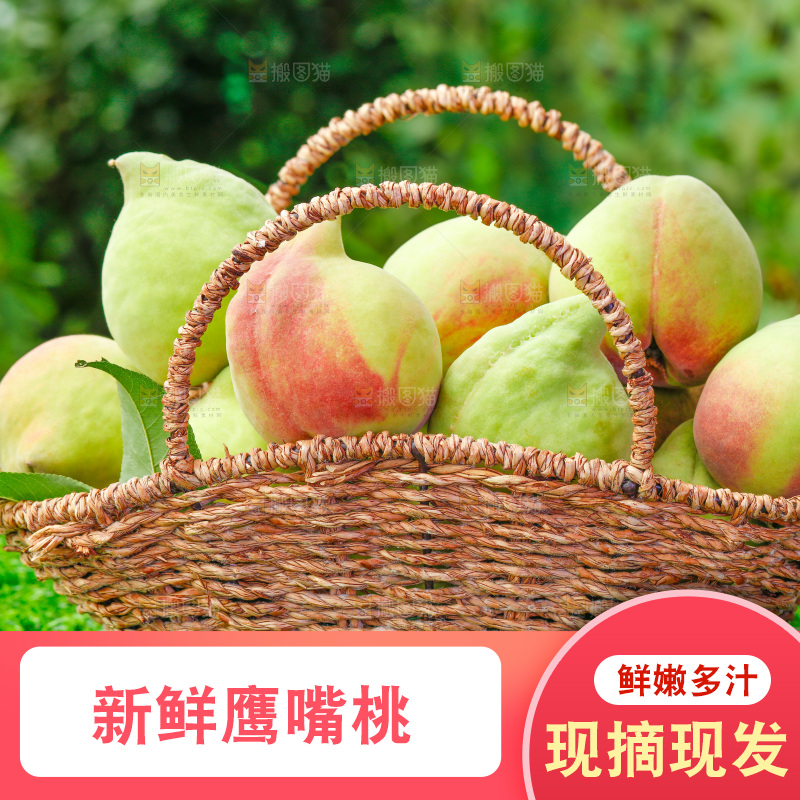 草地上的鹰嘴桃