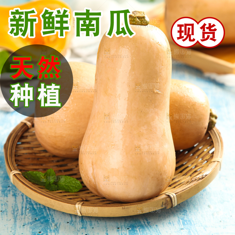 蓝底上放着一盘奶油南瓜
