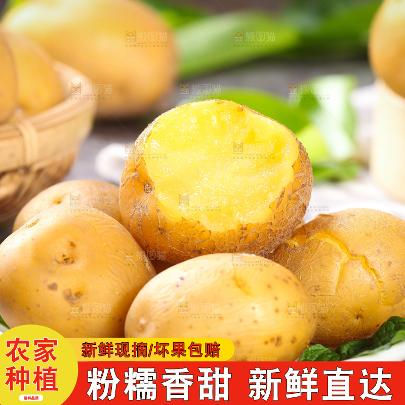 石板上放着一盘黄心小土豆