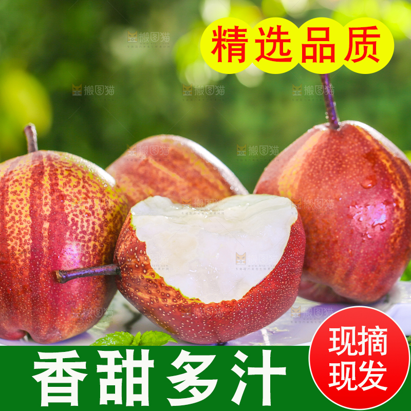 草地上放着一盘彩虹梨