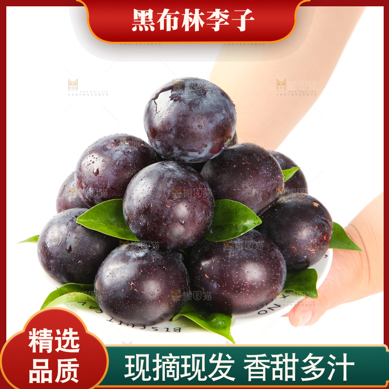 白底上手端一盘黑布林