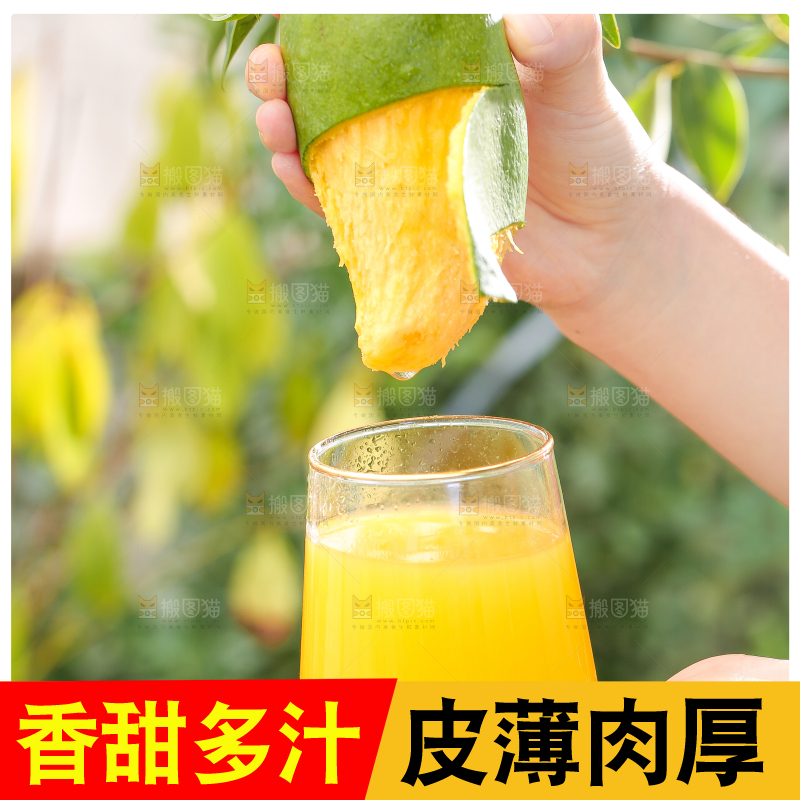 手拿田东桂七芒