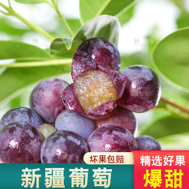 树枝上的葡萄