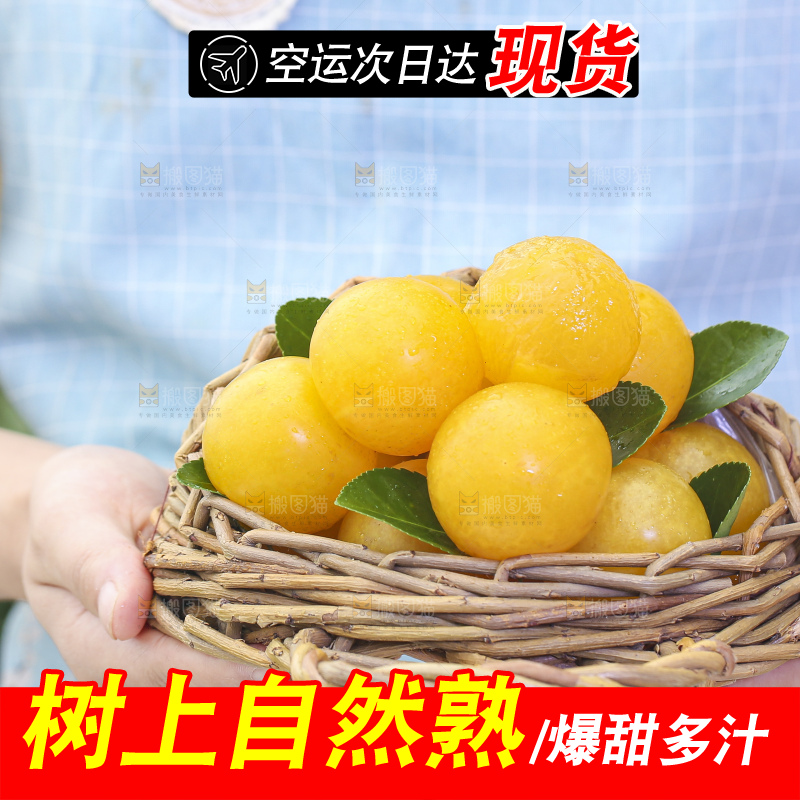 手拿一筐黄金奈李