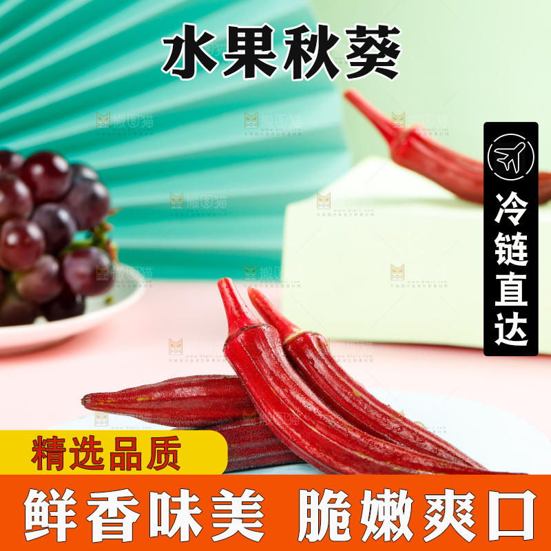 浅底上的红色秋葵