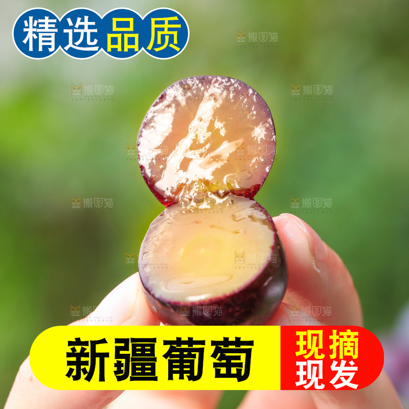 手拿切开的巨峰葡萄