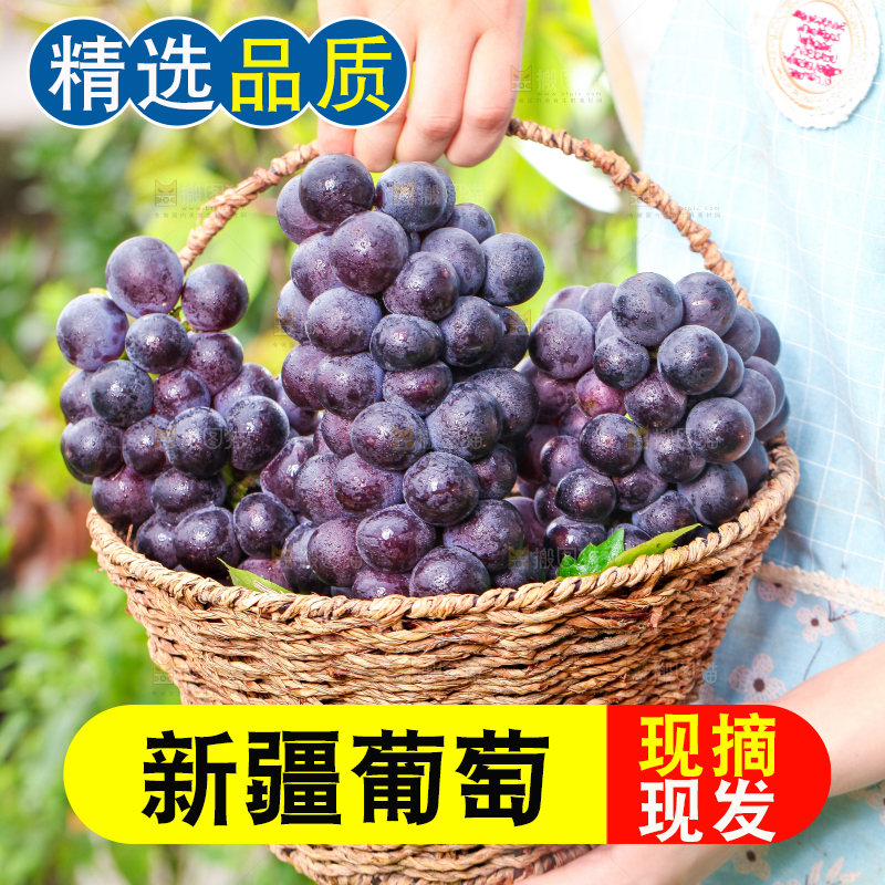 手端一筐巨峰葡萄