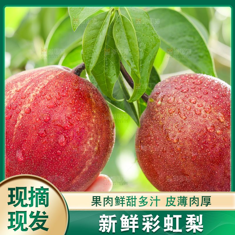 手拿彩虹梨