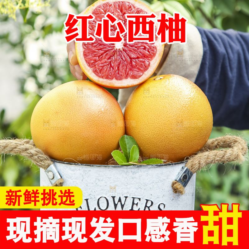 手拿切开的红心西柚