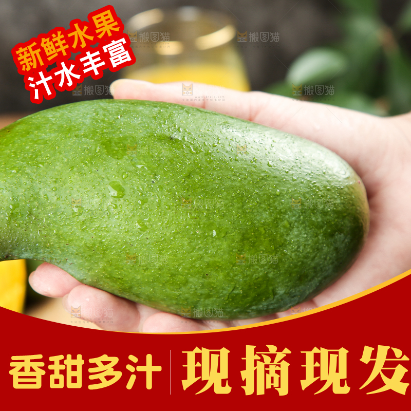 手里拿着桂七芒