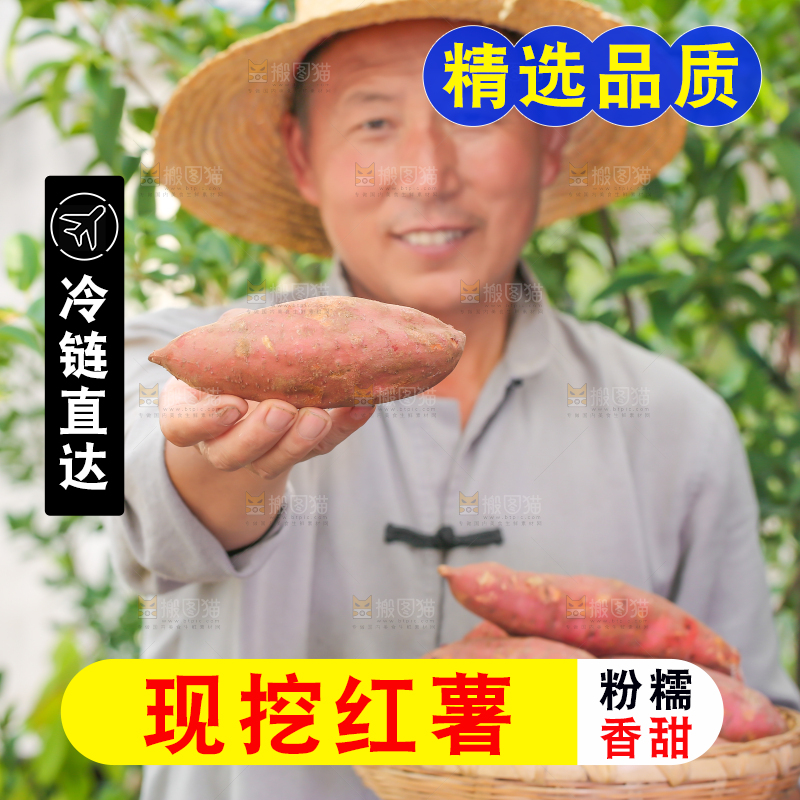 农民手里端着一盘红心红薯