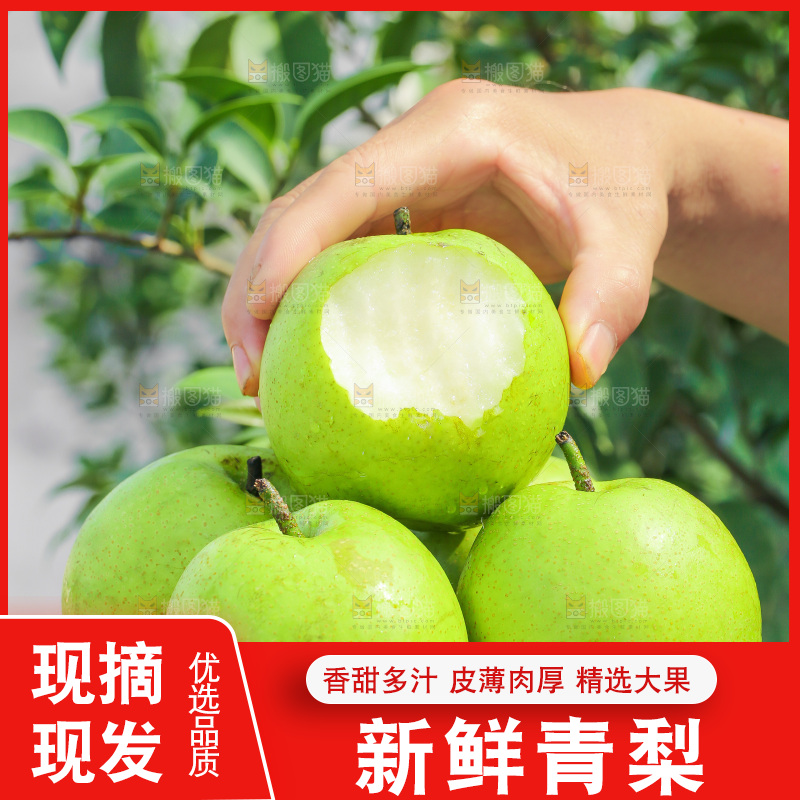 手里端着一盘青皇冠苹果梨