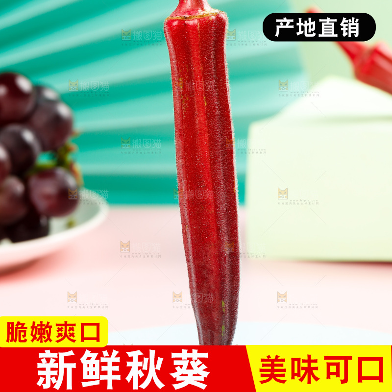 浅底上的红色秋葵