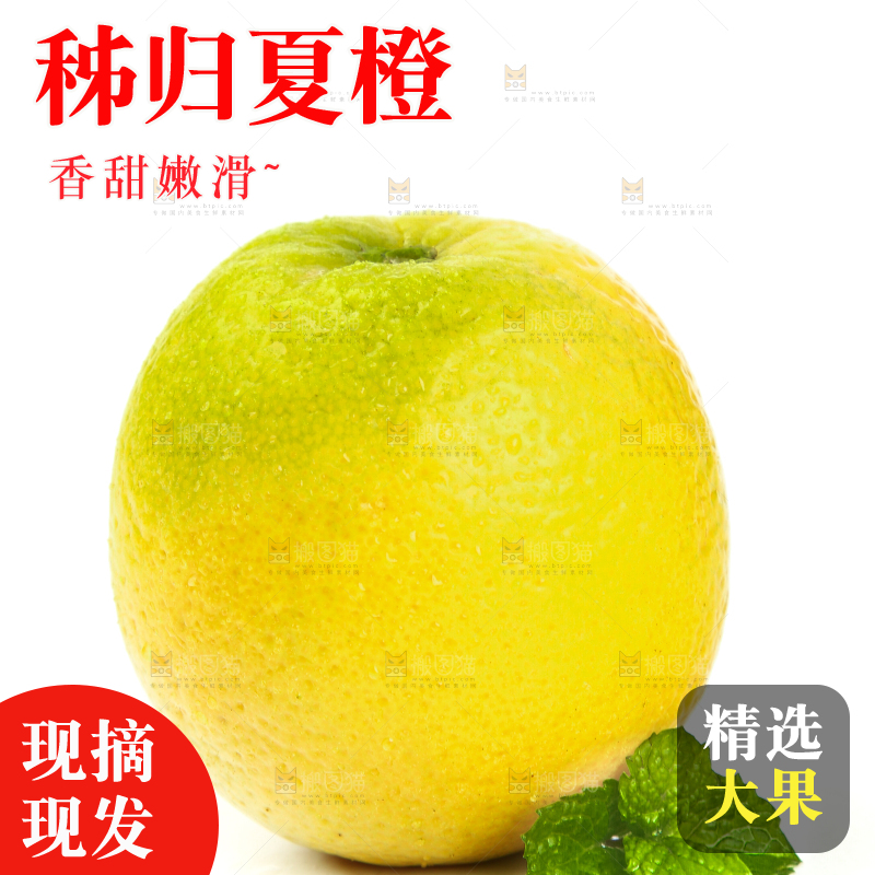 白底上的夏橙