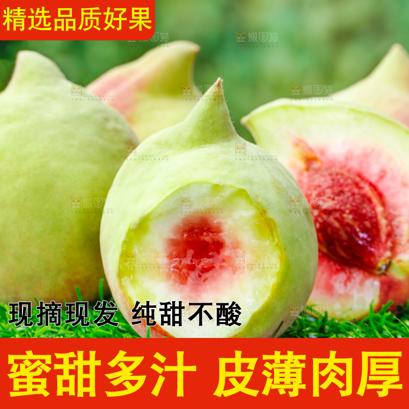 草地上的鹰嘴桃