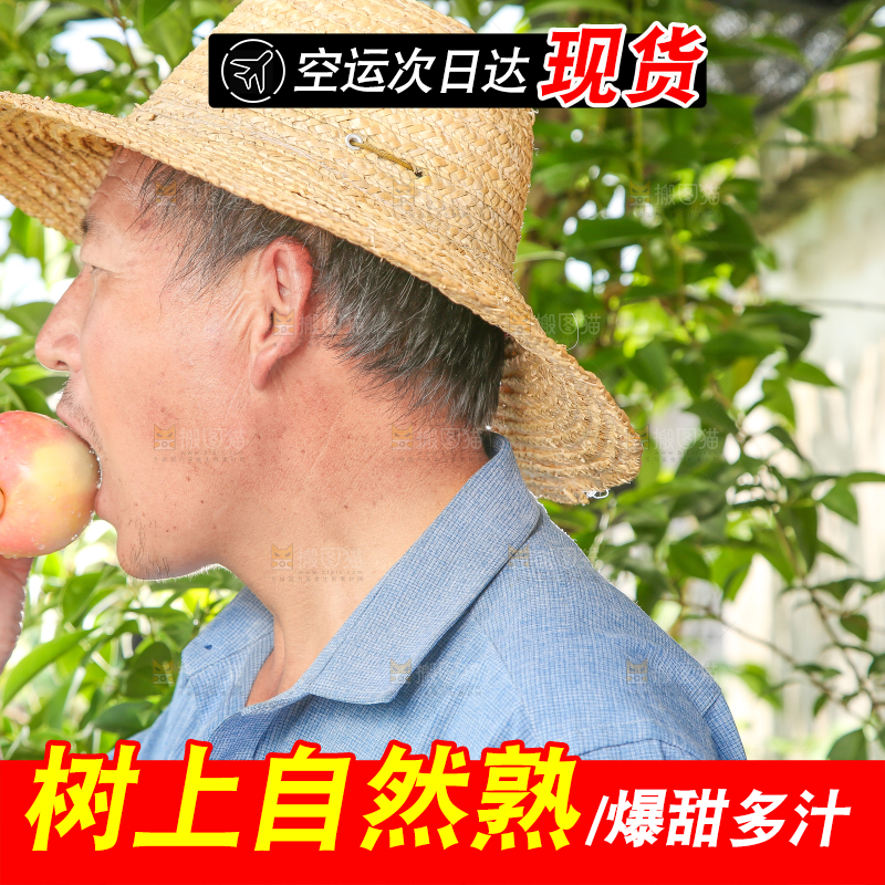 农民正当吃嘎啦苹果