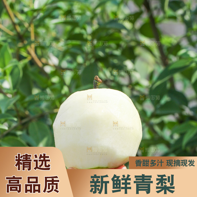 手里拿着削皮的皇冠苹果梨