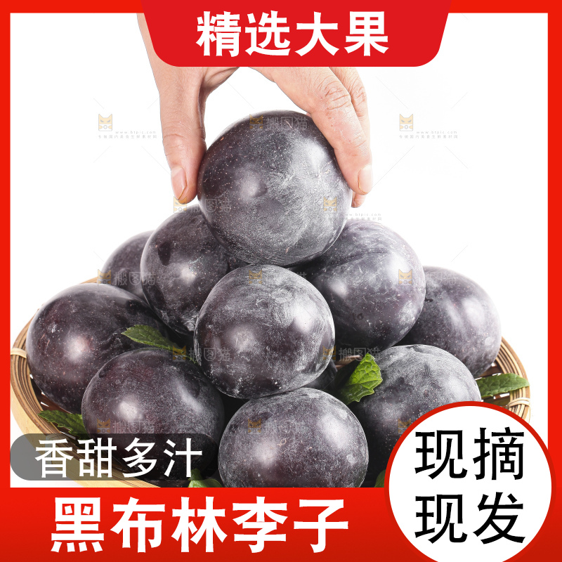 手拿黑布林