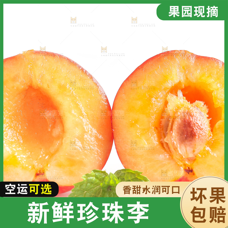 掰开的珍珠李放在白底上